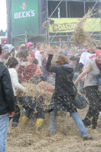 Warum liegt denn hier Stroh? - Southside 2009