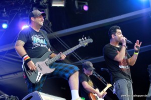 zebrahead highfield-2011