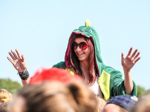 fans3_reloadfestival_2013