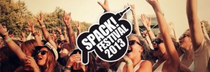 spack festival 2013_crowd