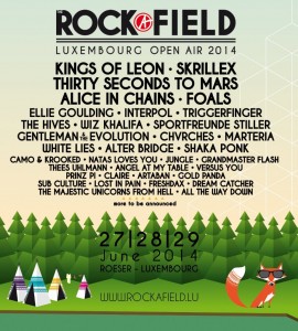 flyer rock-a-field-2014