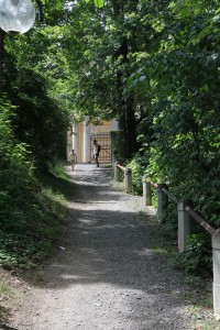 TFF 2014 in Rudolstadt