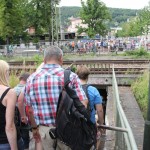 TFF 2014 in Rudolstadt