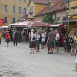 TFF 2014 in Rudolstadt