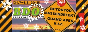 BDO 2015