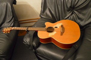 Tims Gitarre _0261