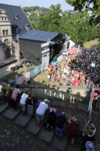 Sés beim TFF Rudolstadt 2015