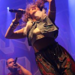 Nomadic Massive auf dem TFF Rudolstadt 2015