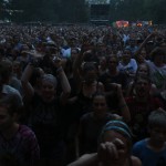 Patrice beim TFF Rudolstadt 2015