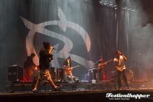 Rock im Sektort, Düsseldorf, hier Irie Révoltés. Fotograf André Havergo www.festival-fotograf.de