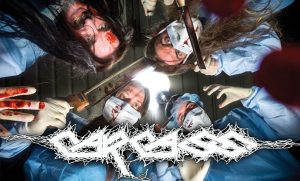 carcass