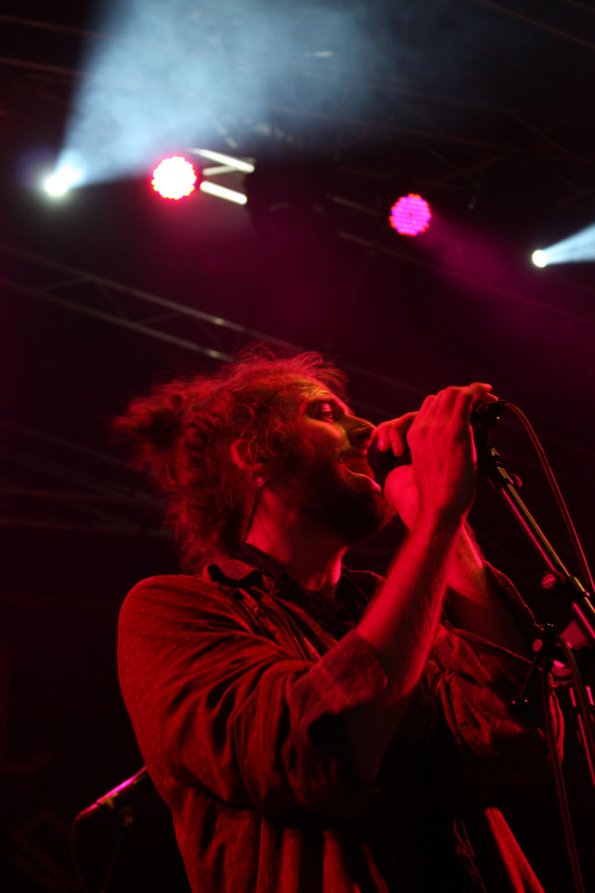 Appletree Crystal Fighters 11