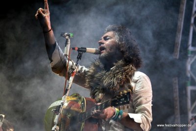 The Flaming Lips