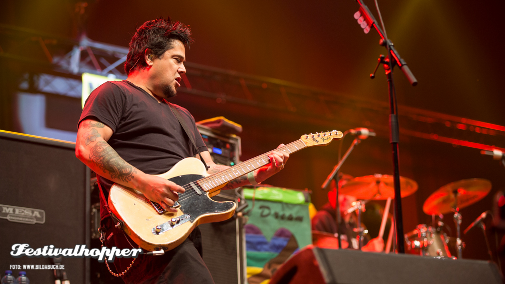 nofx-groezrock-2014-3005