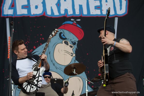 zebrahead-hurricane2014-4388