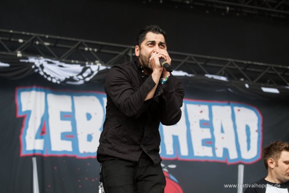 zebrahead-hurricane2014-4406