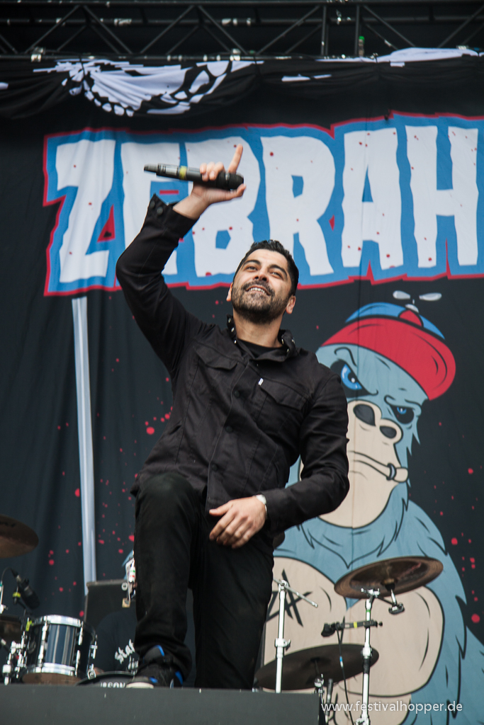 zebrahead-hurricane2014-4345