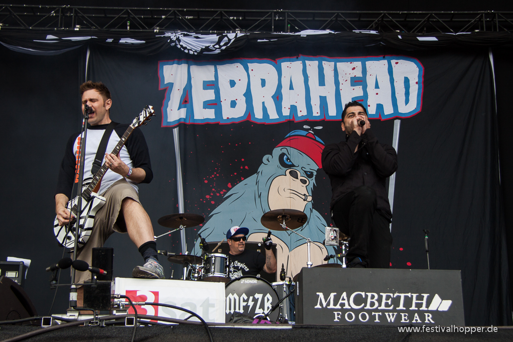 zebrahead-hurricane2014-4386