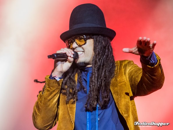 seeed lolla2022