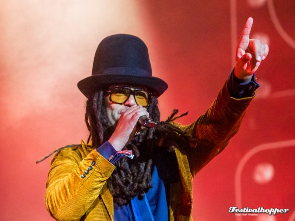 seeed lolla2022
