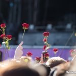 ayliva-lolla2023-6178