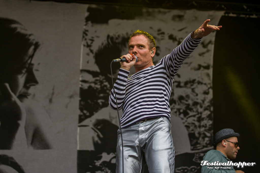 belle-sebastian-lolla-2015-0516