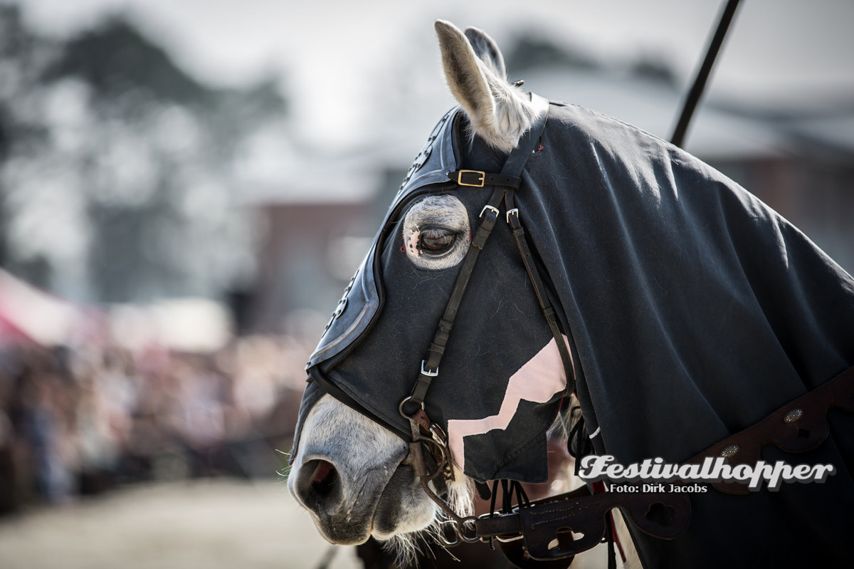 Mittelalterlich-Spectaculum-2017-1476