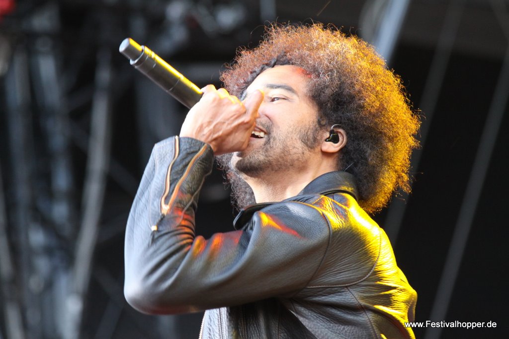 Alice in Chains (8)