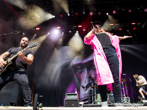 guano apes rar2024