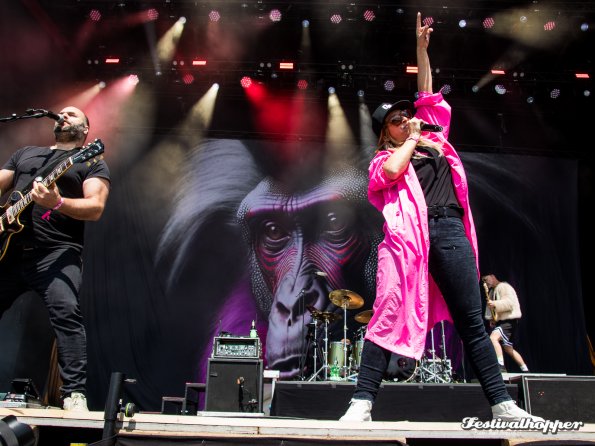 guano apes rar2024