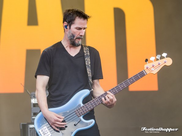 dogstar rar2024