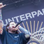 counterparts-rar2024-9359