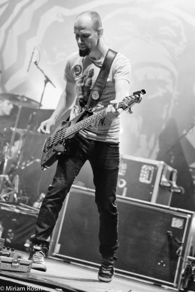 Guano Apes