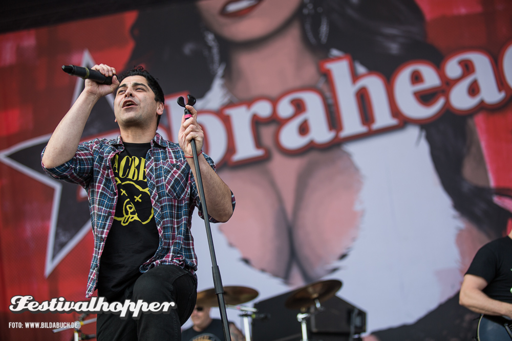 Zebrahead_TK_001