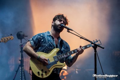 Foals