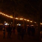 Festivalgelaende (2)