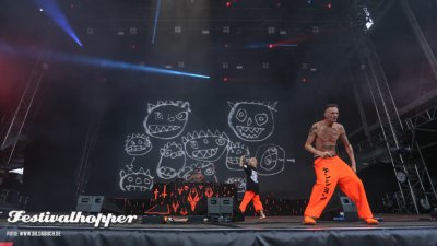 Die Antwoord