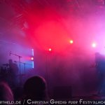 Grossstadtgefl?ster (2)