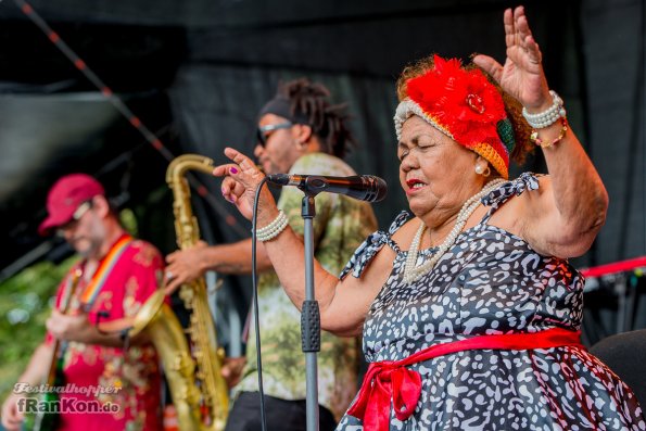 Rudolstadt-Festival-2017_FRK3994