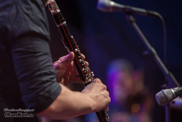 Rudolstadt-Festival-2017_FRK4498