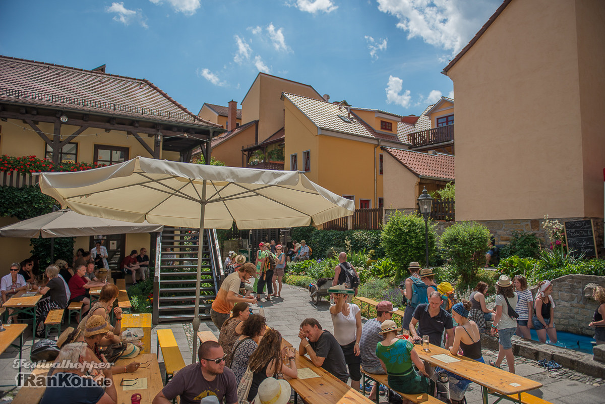 Rudolstadt-Festival-2017_FRK3872