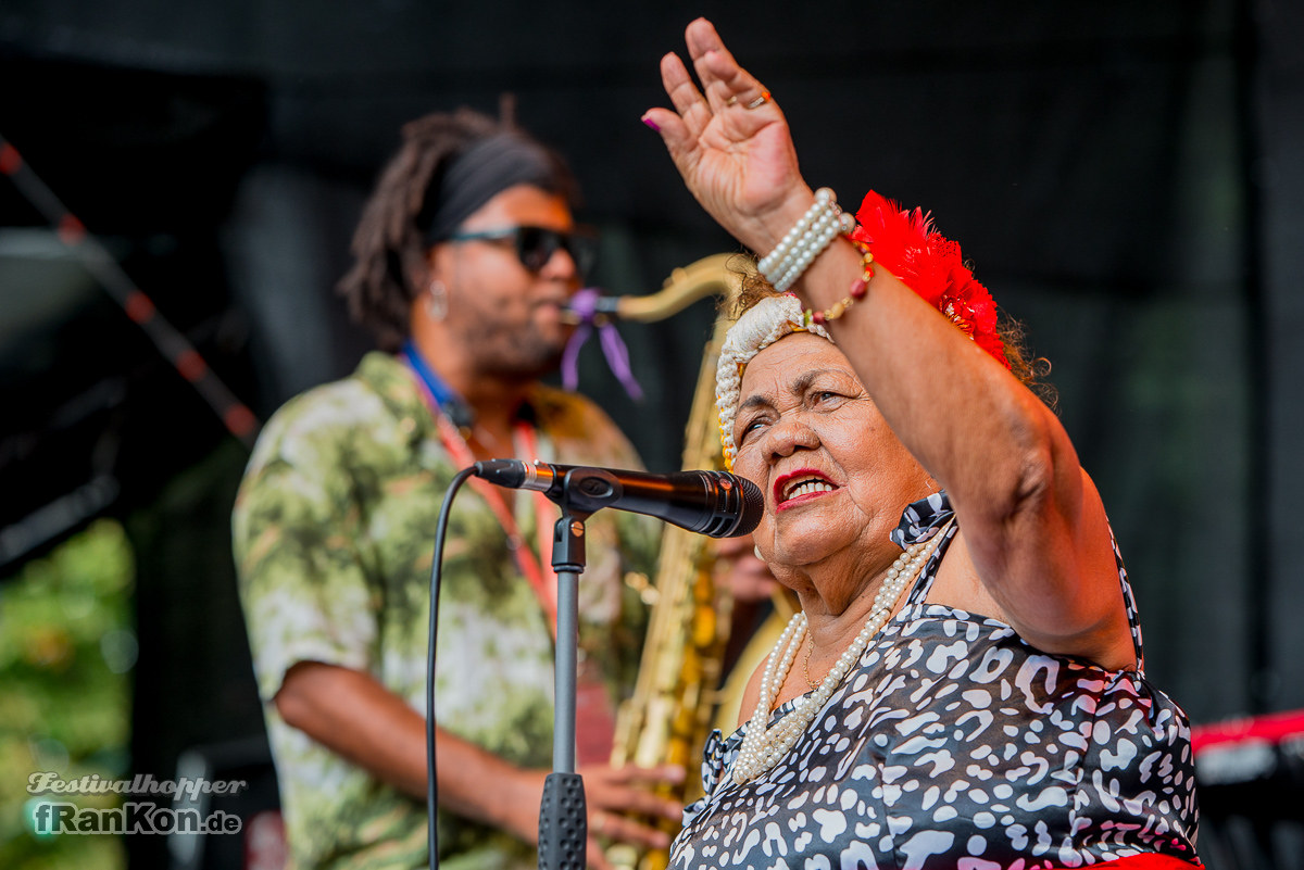 Rudolstadt-Festival-2017_FRK3991