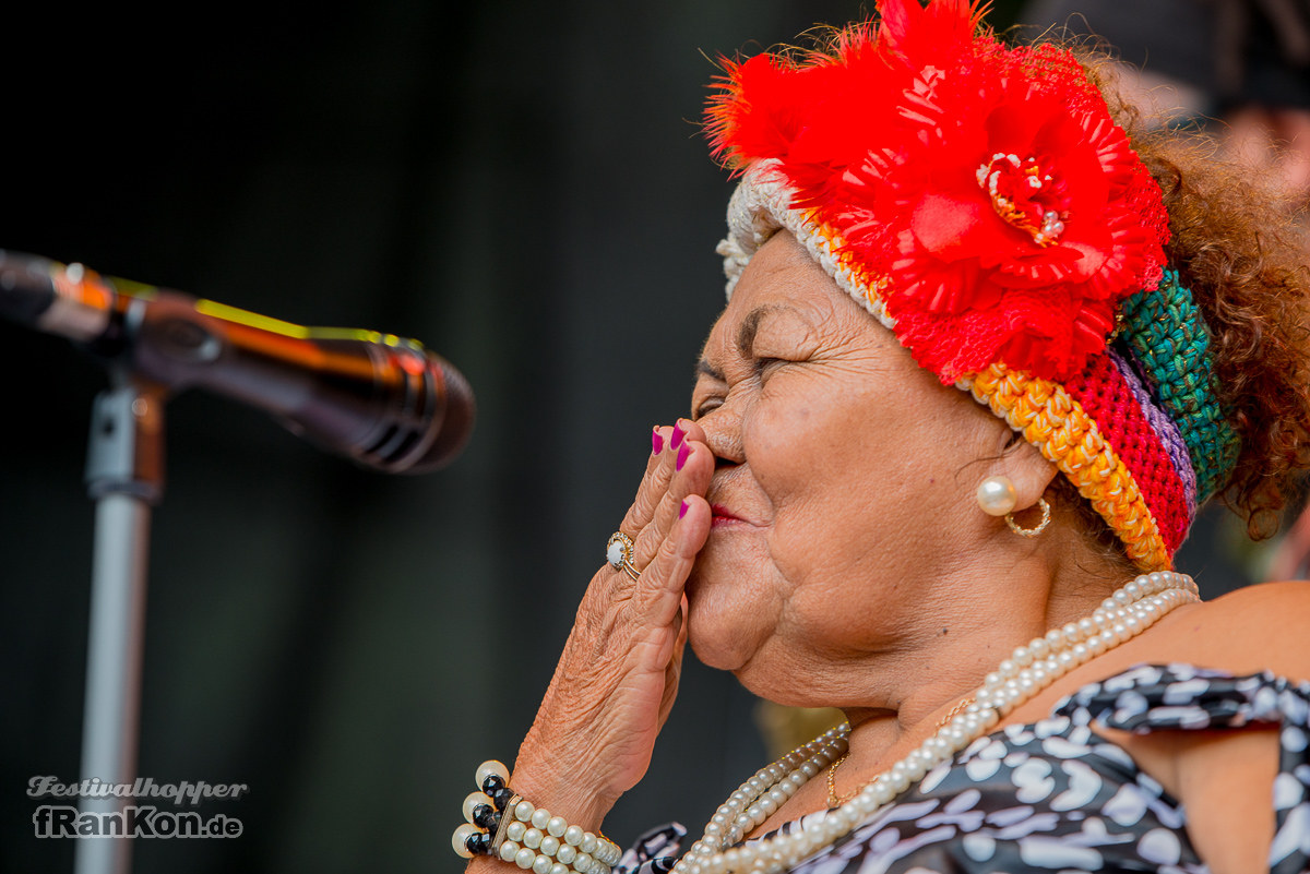 Rudolstadt-Festival-2017_FRK4005