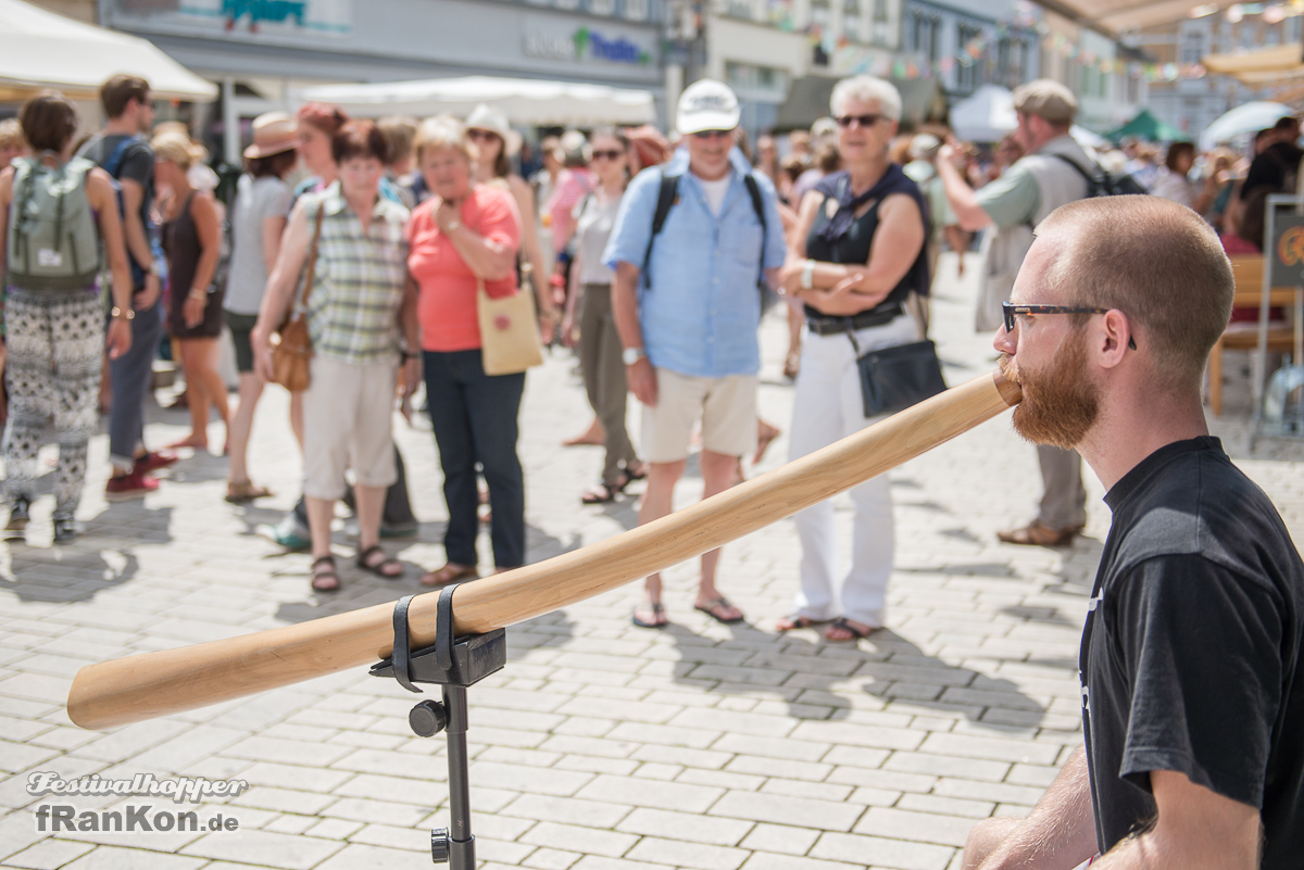 Rudolstadt-Festival_FRK4705