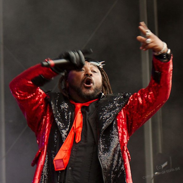 Serengeti 2013 23 Skindred