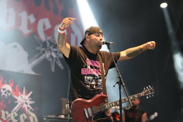 Hatebreed – Summer Breeze 2015