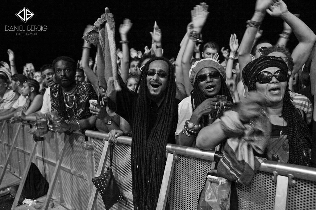 041_audience_summerjam_2013_berbig