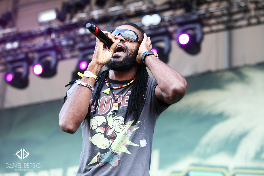 089_richie_stephens_summerjam_2013_berbig