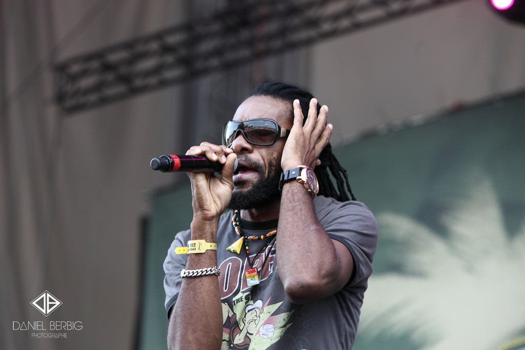 133_richie_stephens_summerjam_2013_berbig