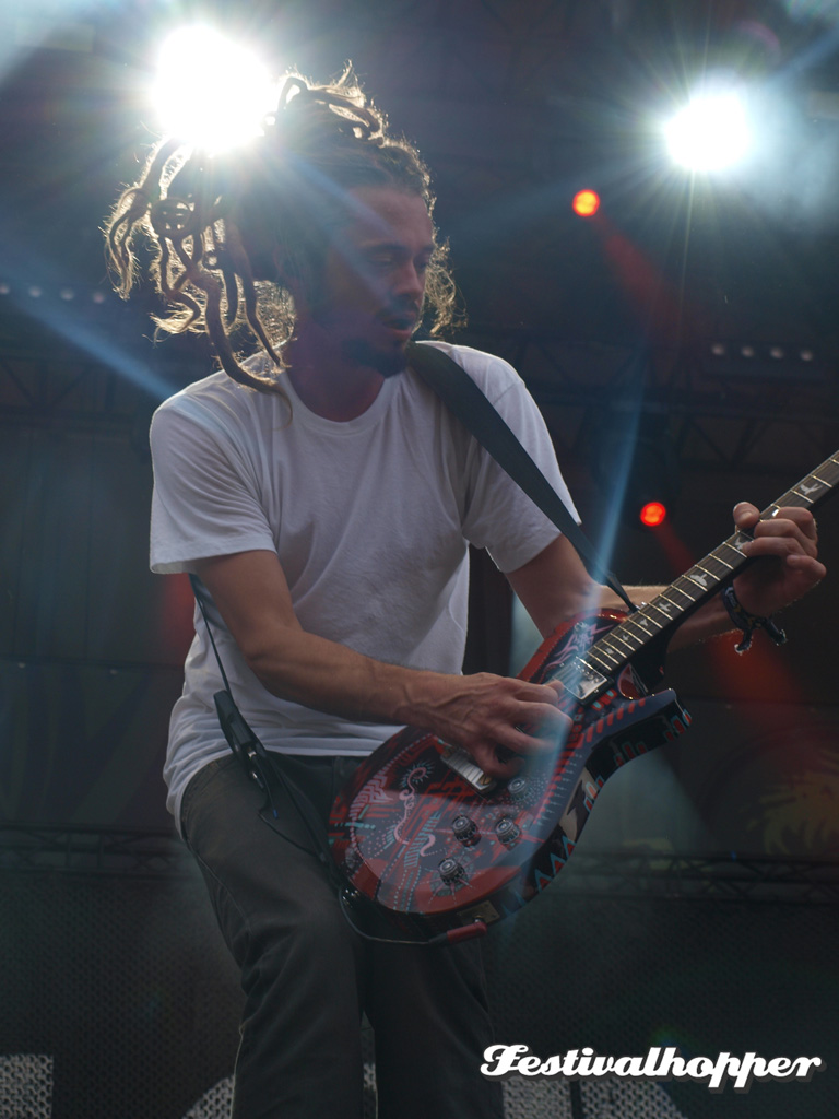 Soja 3-summerjam-2015